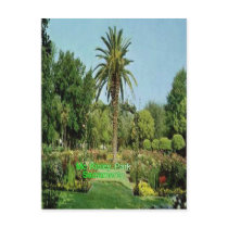 Mc Kinley park Sacramento post card postcards by design_girl Mc Kinley park Sacramento post card postcards