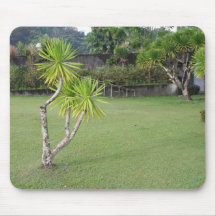 McArthur Park, Palo Mousepads