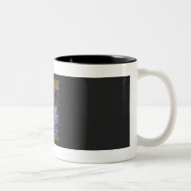 McCain: Change For Real Mug mugs
