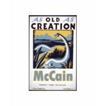 McCain is a Dinosaur t-shirts by obamaclothing McCain is a Dinosaur t-shirts