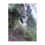 "McCartney's Cave, Thrunton Woods" Northumberland Post Card