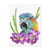 McCaw postcards