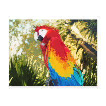 McCaw postcards