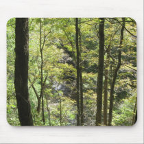 McCormick's Creek Mousepad mousepads