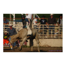 McDaniel's Wild West Rodeo 0065 posters