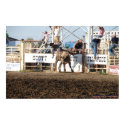 McDaniel's Wild West Rodeo 0114 posters