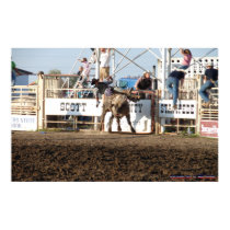 McDaniel's Wild West Rodeo 0114 posters