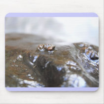 McDonald-Dunn. Oak Creek. Uenoidae mousepads by JLynnPenn McDonald-Dunn. Oak Creek. Uenoidae mousepads
