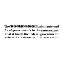 McDonald v. Chicago, 561 U.S. 3025 (2010) Posters