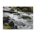 McDowell Creek, Oregon postcards by KROPWD McDowell Creek, Oregon postcards