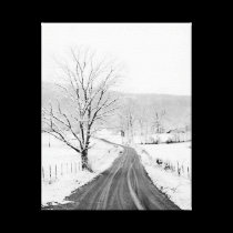 McGee Cove Road canvas prints