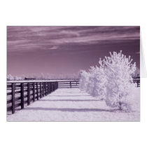 McGuire Farm cards by michaelkloth McGuire Farm cards