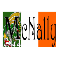 McNally Celtic Dragon Print