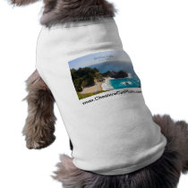 McWay Falls Big Sur California Products Pet T Shirt