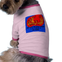 Me And My Pal Chris we ride shirt for dogs! pet clothing by meandmypalchris Me And My Pal Chris we ride shirt for dogs! pet clothing