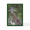 Me? Card by kimboj1 Me? Card