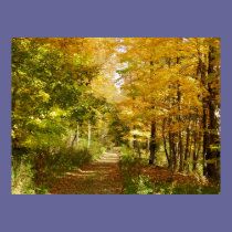 ME Foliage posters