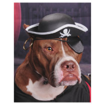 Me thinks I'm a Pirate! flyers