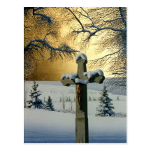 "Mea Culpa" by Conrad Mieschke Post Card
