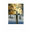 "Mea Culpa" by Conrad Mieschke t-shirts