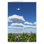 Meadow cards by OneArmedGraphics