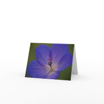 Meadow Crane's-Bill Note Card by SabineSt Meadow Crane's-Bill Note Card