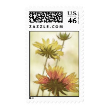 Meadow Fantasy - Gaillardia Stamp