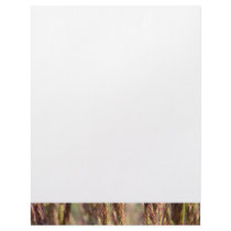 Meadow karl foerster grass close-up nature photo letterhead template