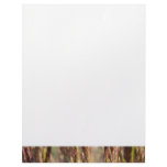 Meadow karl foerster grass close-up nature photo letterhead