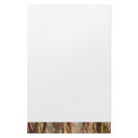 Meadow karl foerster grass close-up nature photo personalized stationery