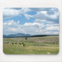 Meadow of Bison Mouse Mat