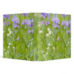 Meadow of penstemon wildflowers in the binders