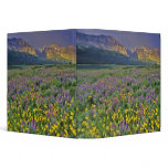 Meadow of wildflowers in the Many glacier binders