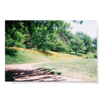 Meadow posters