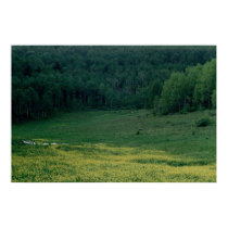 Meadow posters