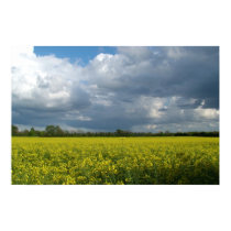 meadow scene posters