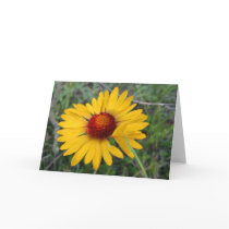 Meadow Wildflower Note Card