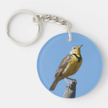 Meadowlark Key Chains