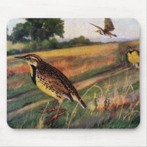 Meadowlarks in a Grassy Field Mouse Pads