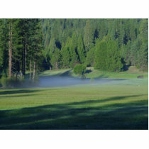 Meadows Foggy Green photo sculptures