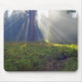 Meadows Foggy Smokey Sunbeams Mousepads