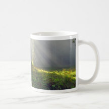 Meadows Foggy Smokey Sunbeams Mugs