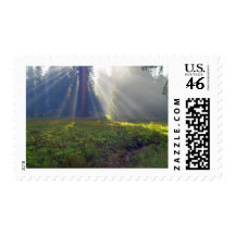 Meadows Foggy Smokey Sunbeams Stamps