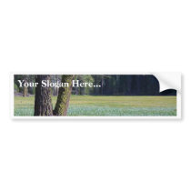 Meadows Moss Trees bumper stickers by lifesphere Meadows Moss Trees bumper stickers