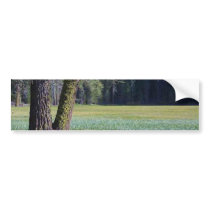 Meadows Moss Trees bumper stickers by lifesphere Meadows Moss Trees bumper stickers