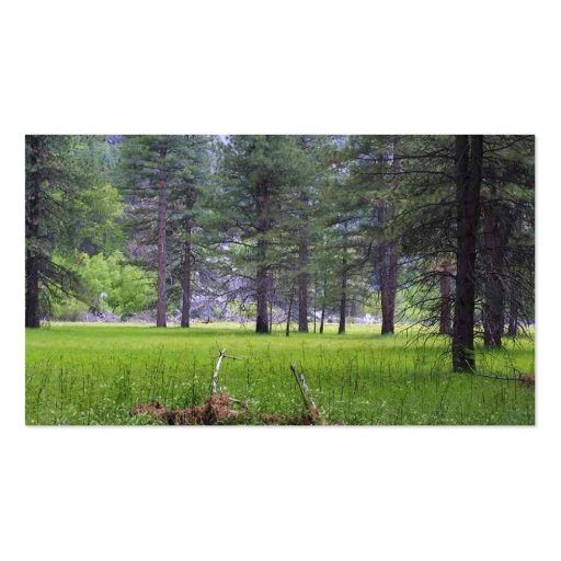 Meadows Trees Grasses Pines Business Card Templates (back side)
