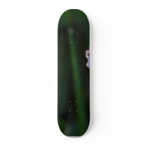 Meadows Wildflowers Dew skateboards