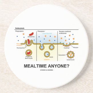 Mealtime Anyone? (Endocytosis Cellular Eating) Beverage Coaster
