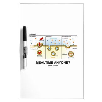 Mealtime Anyone? (Endocytosis Cellular Eating) Dry-Erase Whiteboard