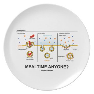 Mealtime Anyone? (Endocytosis Cellular Eating) Plate